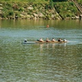 Women s Novice 4 c